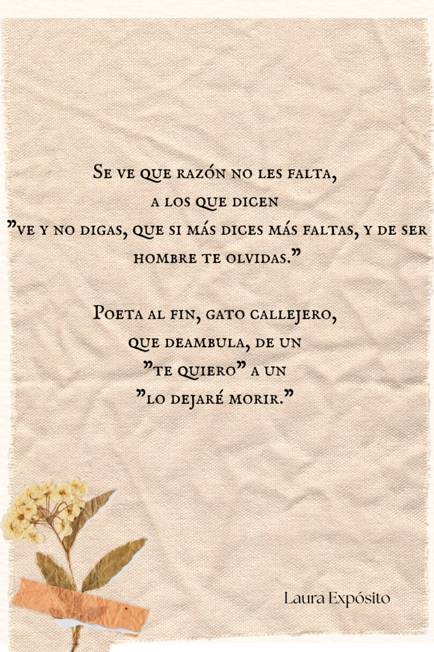 Poesía, Laura, Expósito, Collage, Texto, Frase, Carta, Poema, Detalle, Bonito, Artístico, Creativo, Manualidad, 