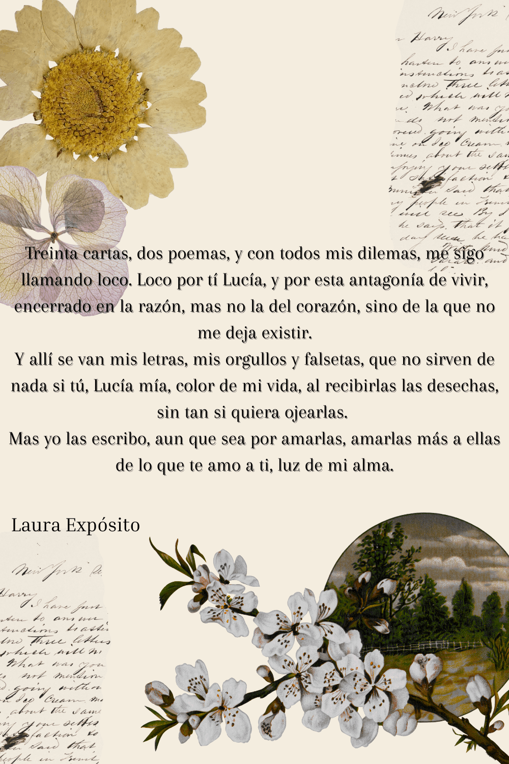 Poesía, Laura, Expósito, Collage, Texto, Frase, Carta, Poema, Detalle, Bonito, Artístico, Creativo, Manualidad, 